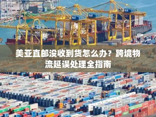 美亚直邮没收到货怎么办？跨境物流延误处理全指南