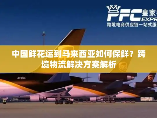 中国鲜花运到马来西亚如何保鲜？跨境物流解决方案解析