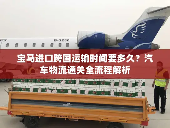 宝马进口跨国运输时间要多久？汽车物流通关全流程解析