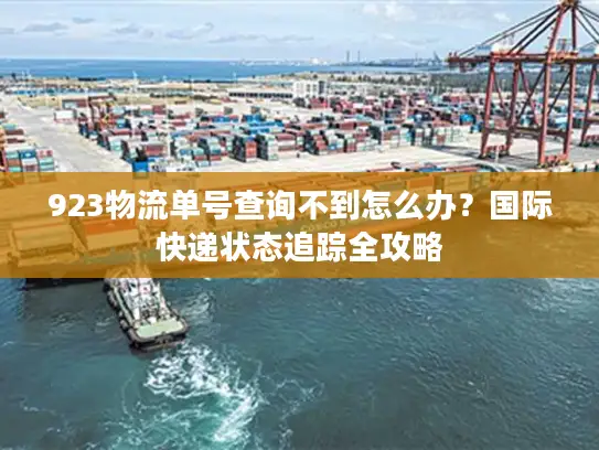923物流单号查询不到怎么办？国际快递状态追踪全攻略