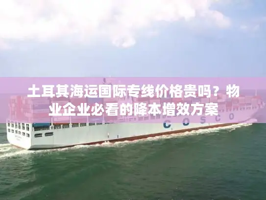 土耳其海运国际专线价格贵吗？物业企业必看的降本增效方案