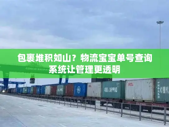 包裹堆积如山？物流宝宝单号查询系统让管理更透明