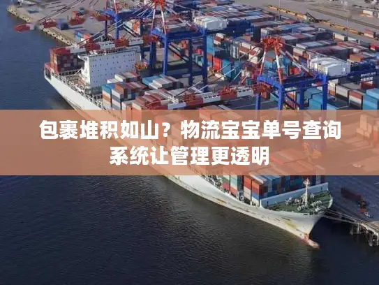 包裹堆积如山？物流宝宝单号查询系统让管理更透明