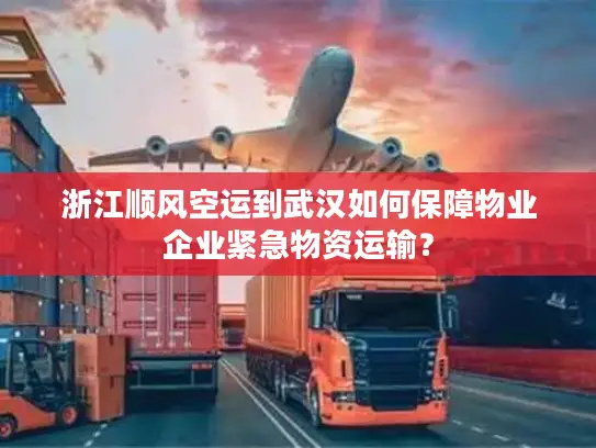 浙江顺风空运到武汉如何保障物业企业紧急物资运输？