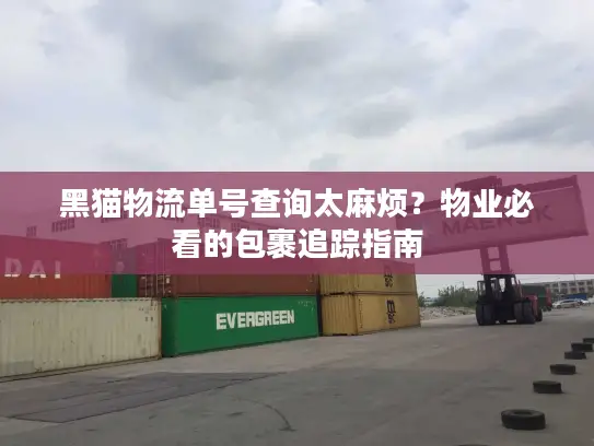 黑猫物流单号查询太麻烦？物业必看的包裹追踪指南