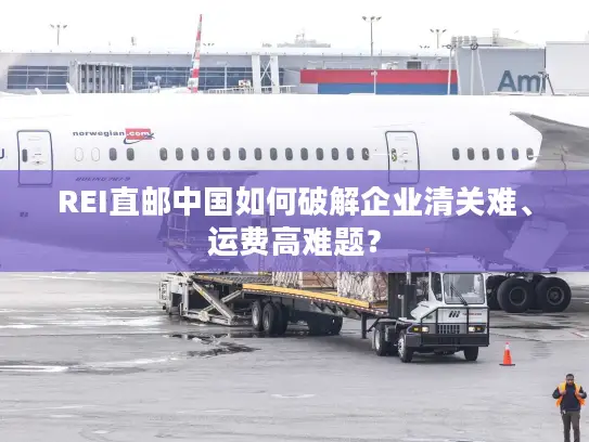 REI直邮中国如何破解企业清关难、运费高难题？
