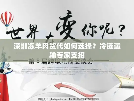深圳冻羊肉货代如何选择？冷链运输专家支招