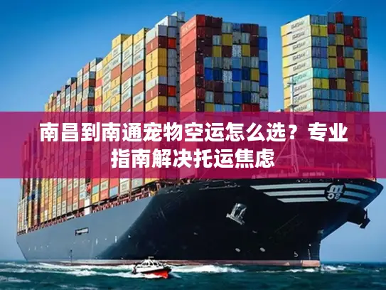 南昌到南通宠物空运怎么选？专业指南解决托运焦虑
