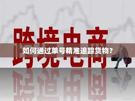如何通过单号精准追踪货物？