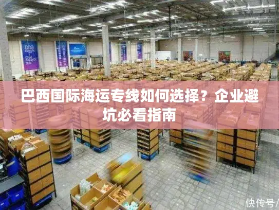 巴西国际海运专线如何选择？企业避坑必看指南