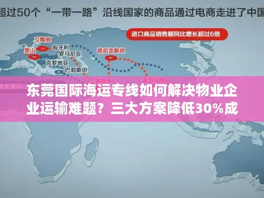 东莞国际海运专线如何解决物业企业运输难题？三大方案降低30%成本