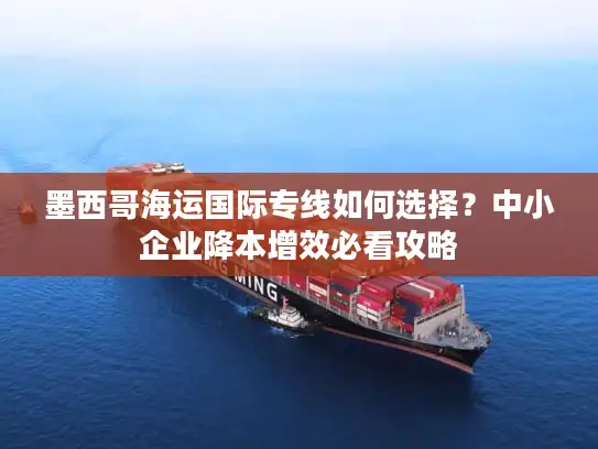 墨西哥海运国际专线如何选择？中小企业降本增效必看攻略