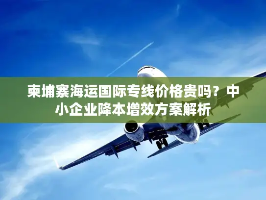 柬埔寨海运国际专线价格贵吗？中小企业降本增效方案解析