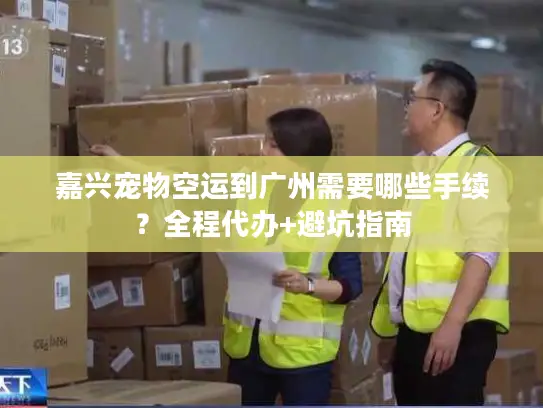嘉兴宠物空运到广州需要哪些手续？全程代办+避坑指南