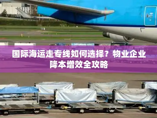 国际海运走专线如何选择？物业企业降本增效全攻略