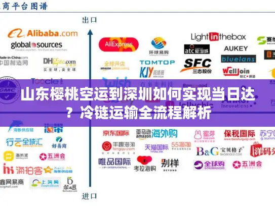 山东樱桃空运到深圳如何实现当日达？冷链运输全流程解析