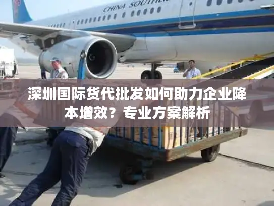 深圳国际货代批发如何助力企业降本增效？专业方案解析