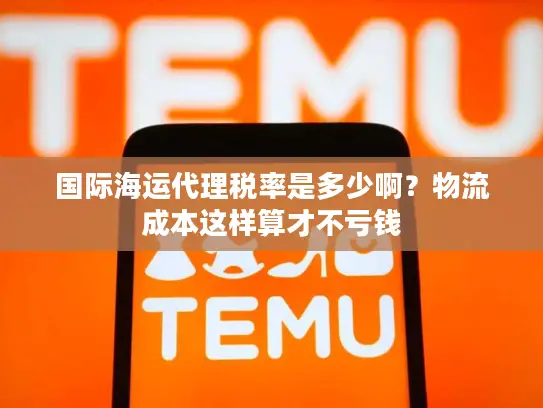 国际海运代理税率是多少啊？物流成本这样算才不亏钱