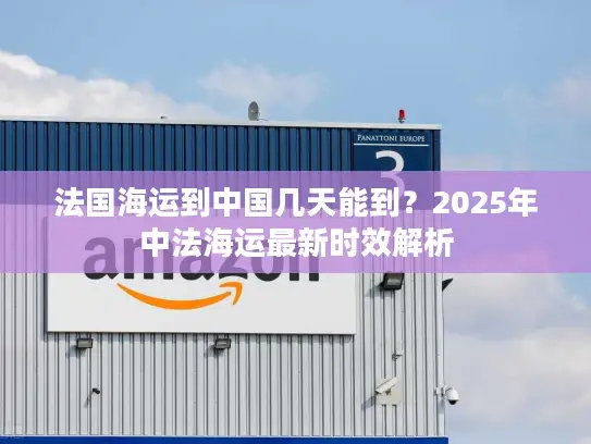 法国海运到中国几天能到？2025年中法海运最新时效解析