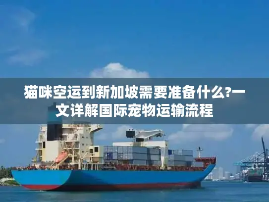 猫咪空运到新加坡需要准备什么?一文详解国际宠物运输流程