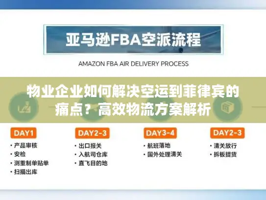 物业企业如何解决空运到菲律宾的痛点？高效物流方案解析