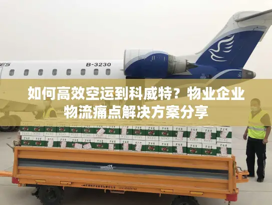 如何高效空运到科威特？物业企业物流痛点解决方案分享