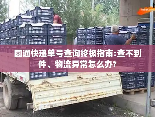 圆通快递单号查询终极指南:查不到件、物流异常怎么办?