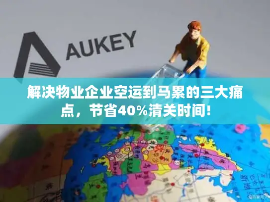 解决物业企业空运到马累的三大痛点，节省40%清关时间!