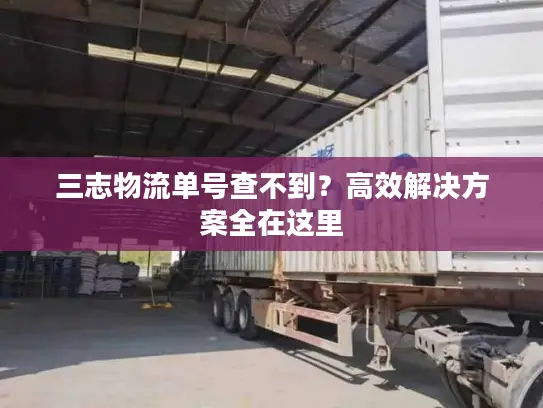 三志物流单号查不到？高效解决方案全在这里