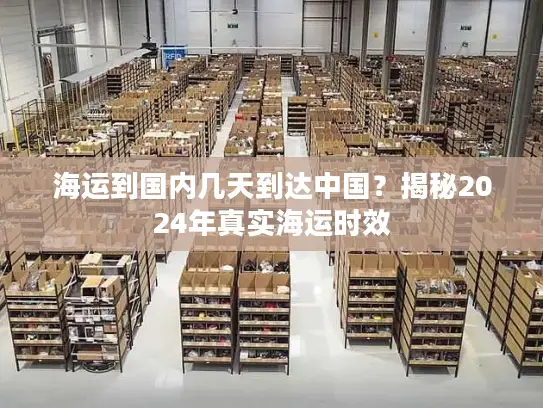 海运到国内几天到达中国？揭秘2024年真实海运时效