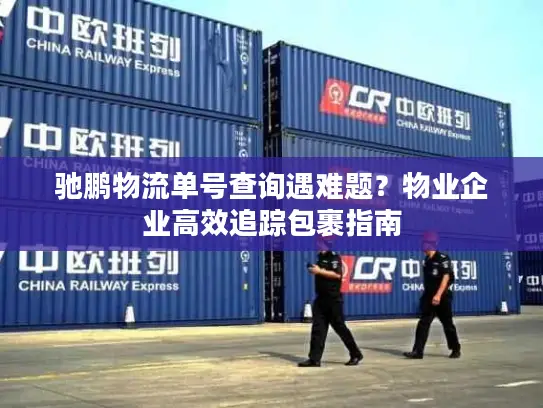 驰鹏物流单号查询遇难题？物业企业高效追踪包裹指南
