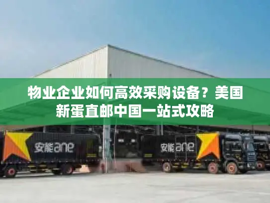 物业企业如何高效采购设备？美国新蛋直邮中国一站式攻略