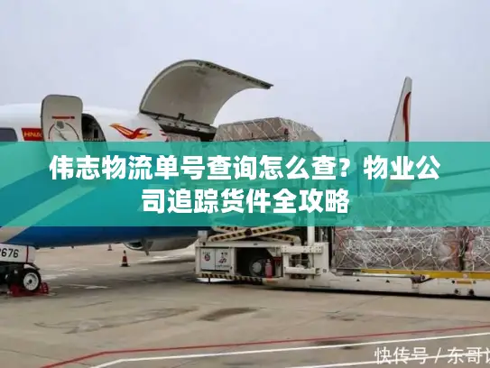 伟志物流单号查询怎么查？物业公司追踪货件全攻略