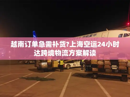 越南订单急需补货?上海空运24小时达跨境物流方案解读