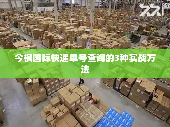 今枫国际快递单号查询的3种实战方法
