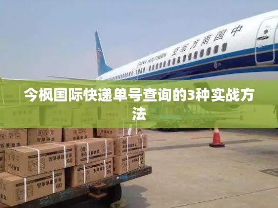 今枫国际快递单号查询的3种实战方法
