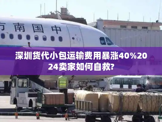 深圳货代小包运输费用暴涨40%2024卖家如何自救?