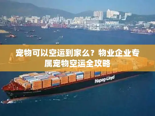 宠物可以空运到家么？物业企业专属宠物空运全攻略