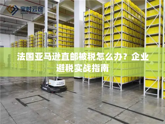法国亚马逊直邮被税怎么办？企业避税实战指南