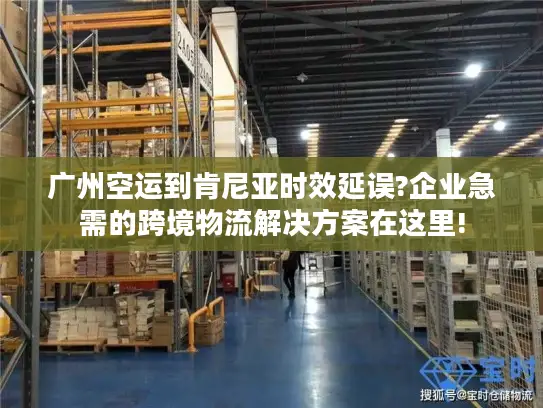 广州空运到肯尼亚时效延误?企业急需的跨境物流解决方案在这里!