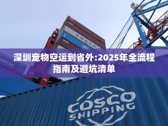 深圳宠物空运到省外:2025年全流程指南及避坑清单