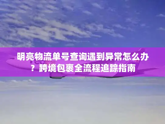 明亮物流单号查询遇到异常怎么办？跨境包裹全流程追踪指南