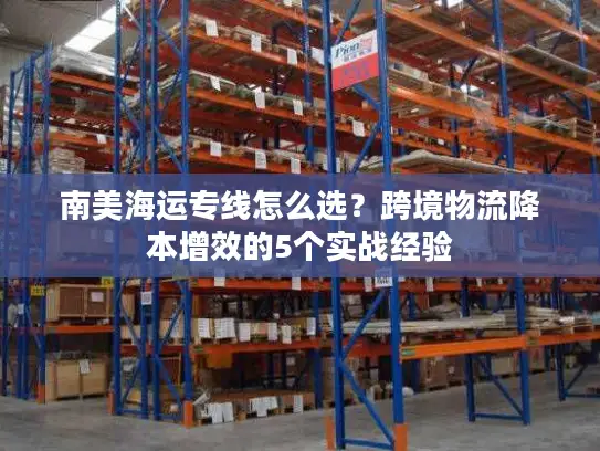 南美海运专线怎么选？跨境物流降本增效的5个实战经验