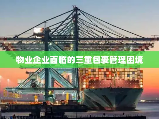 物业企业面临的三重包裹管理困境