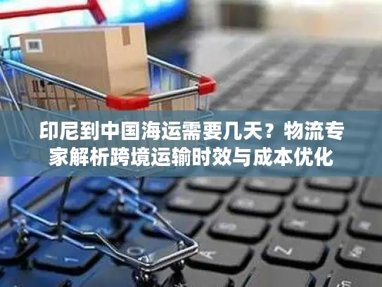 印尼到中国海运需要几天？物流专家解析跨境运输时效与成本优化