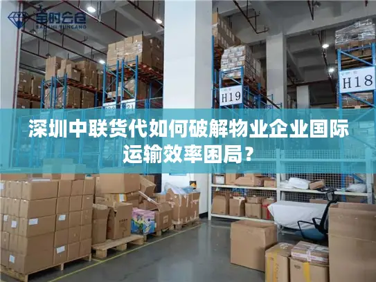 深圳中联货代如何破解物业企业国际运输效率困局？