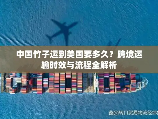 中国竹子运到美国要多久？跨境运输时效与流程全解析