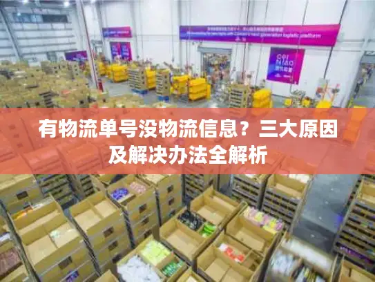 有物流单号没物流信息？三大原因及解决办法全解析