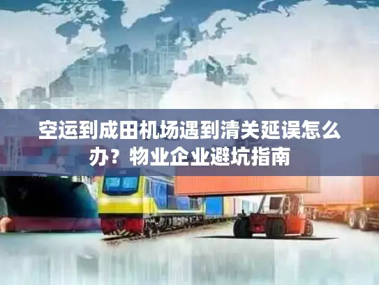 空运到成田机场遇到清关延误怎么办？物业企业避坑指南