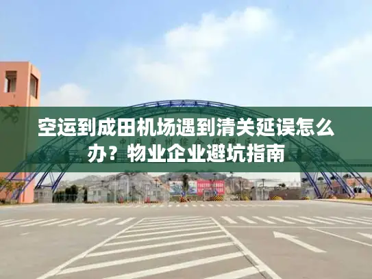 空运到成田机场遇到清关延误怎么办？物业企业避坑指南